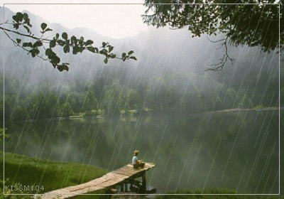 image002.gif